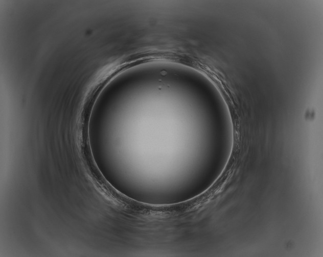 X0000094910149200711291304