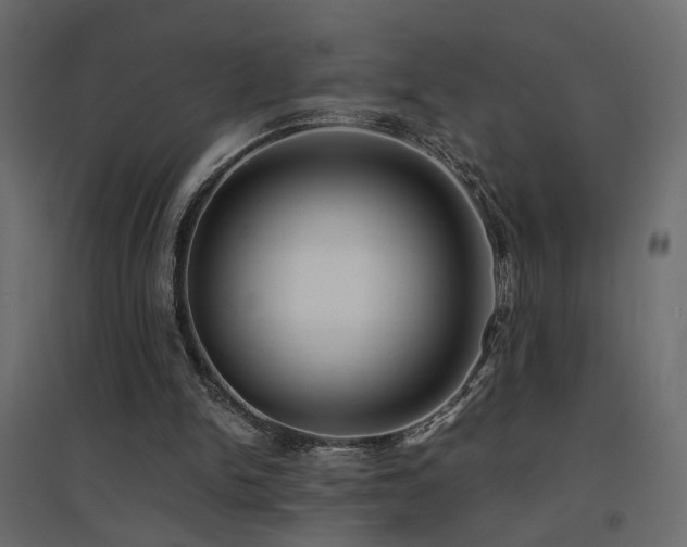 X0000094910150200711291304