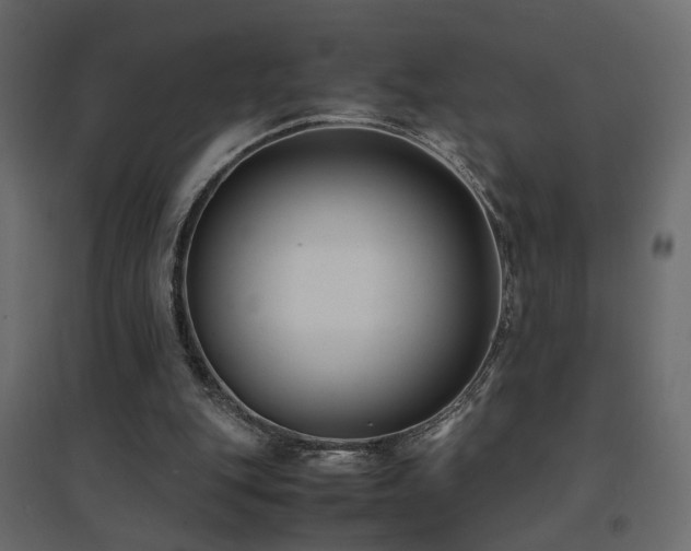 X0000094910151200711291304
