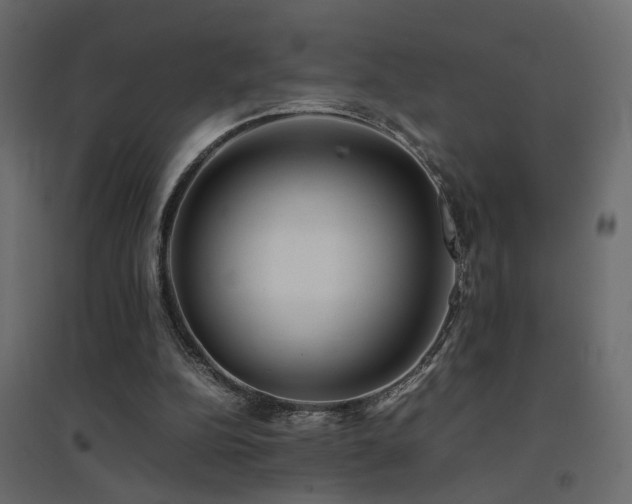 X0000094910152200711291304