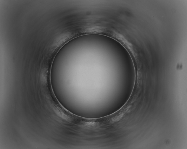X0000094910153200711291304
