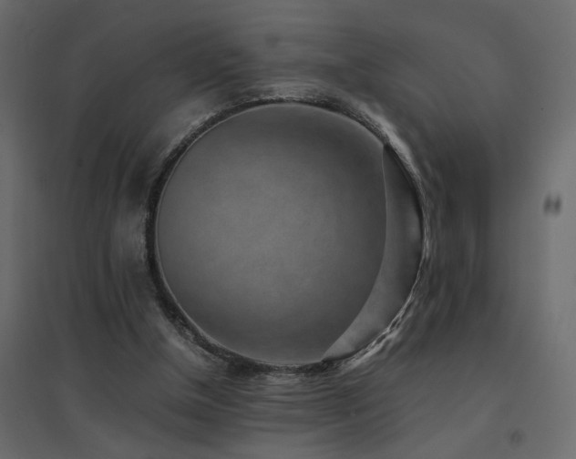 X0000094910154200711291304
