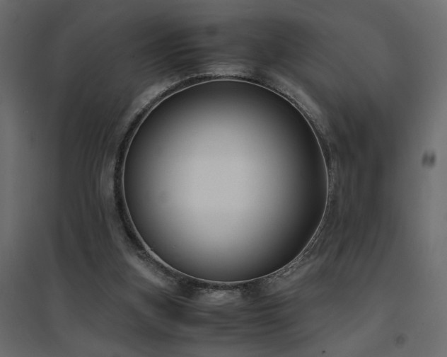 X0000094910155200711291304