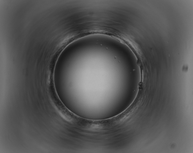 X0000094910157200711291304