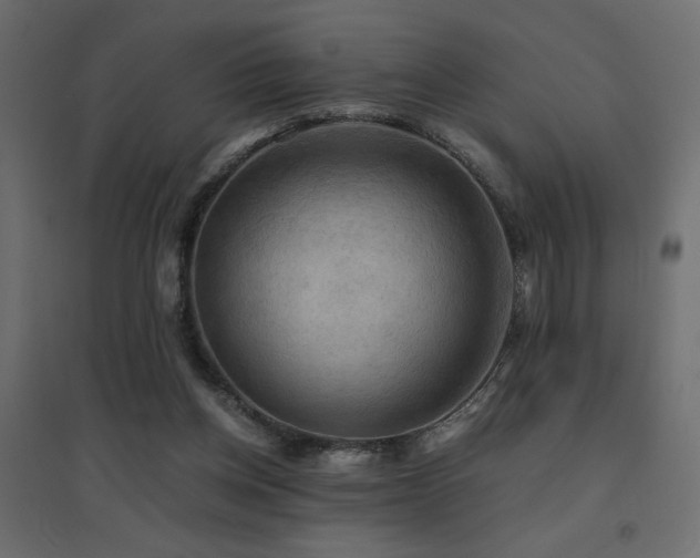 X0000094910158200711291304