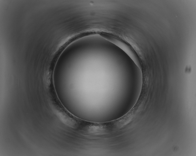 X0000094910160200711291304