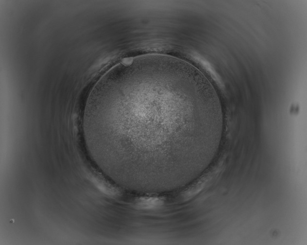 X0000094910161200711291304