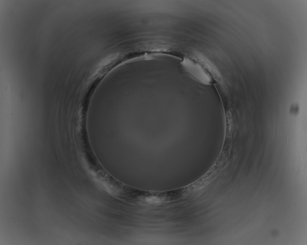 X0000094910163200711291304