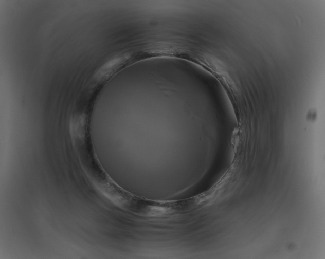 X0000094910167200711291304