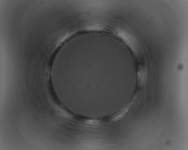 X0000094910168200711291304