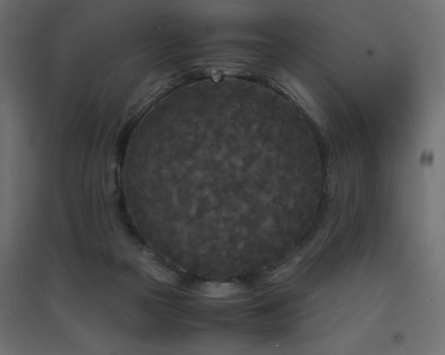 X0000094910169200711291304