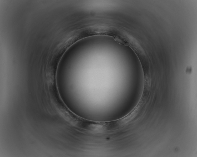 X0000094910170200711291304