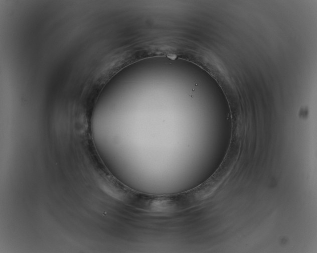 X0000094910173200711291304