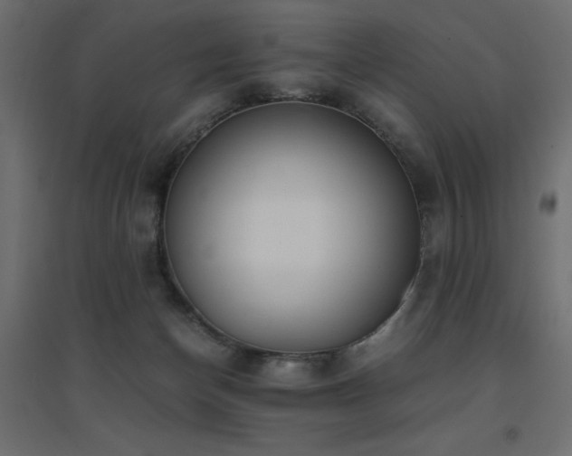 X0000094910174200711291304