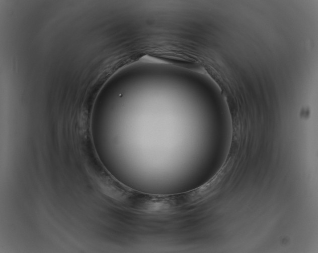 X0000094910175200711291304