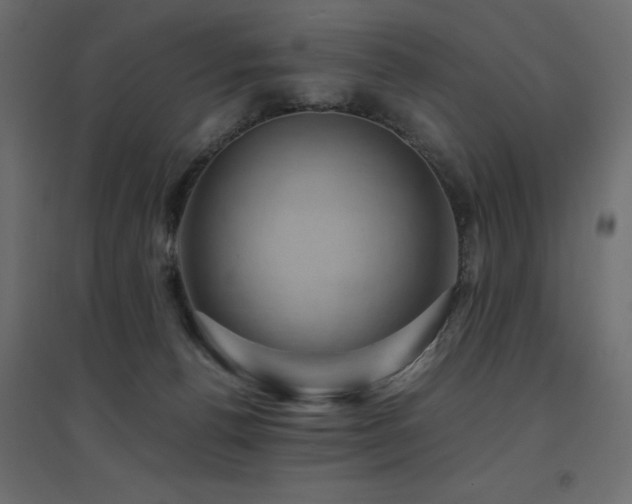 X0000094910176200711291304