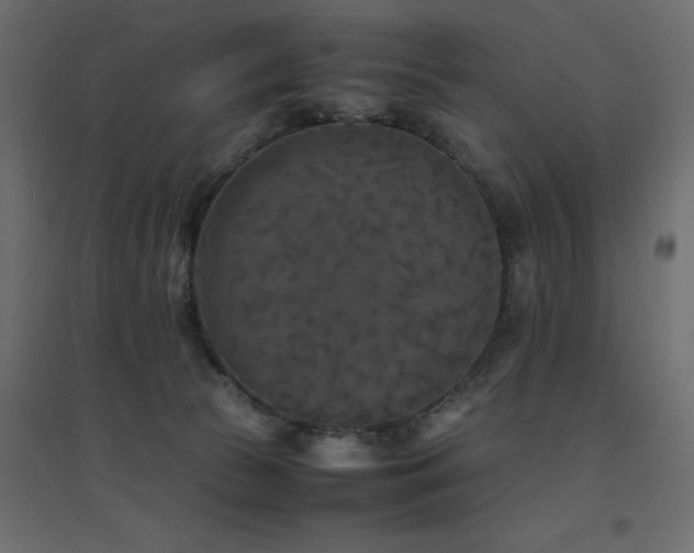 X0000094910177200711291304