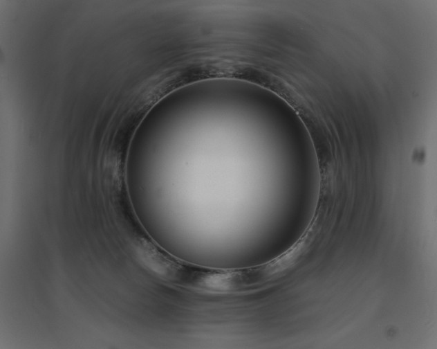 X0000094910178200711291304
