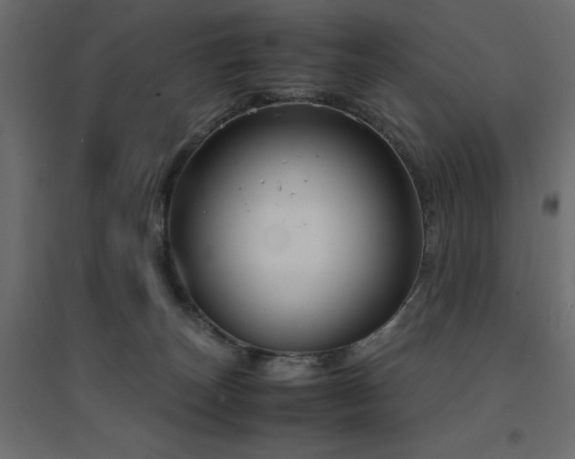 X0000094910179200711291304