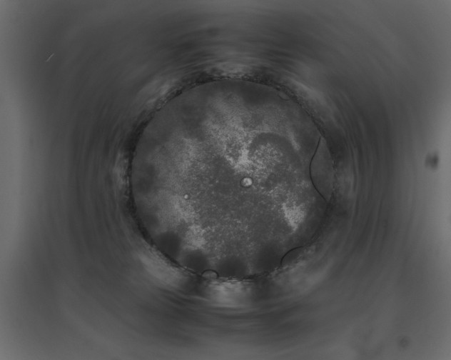 X0000094910181200711291304