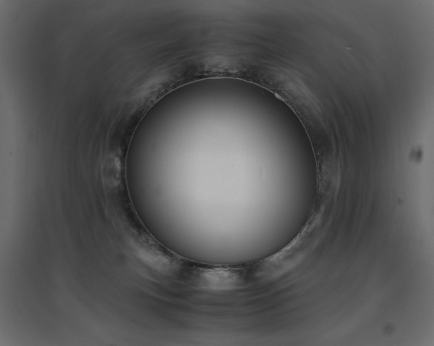 X0000094910183200711291304