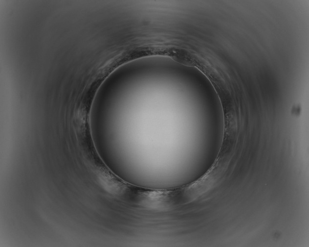 X0000094910184200711291304