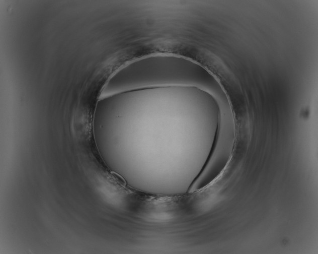 X0000094910186200711291304