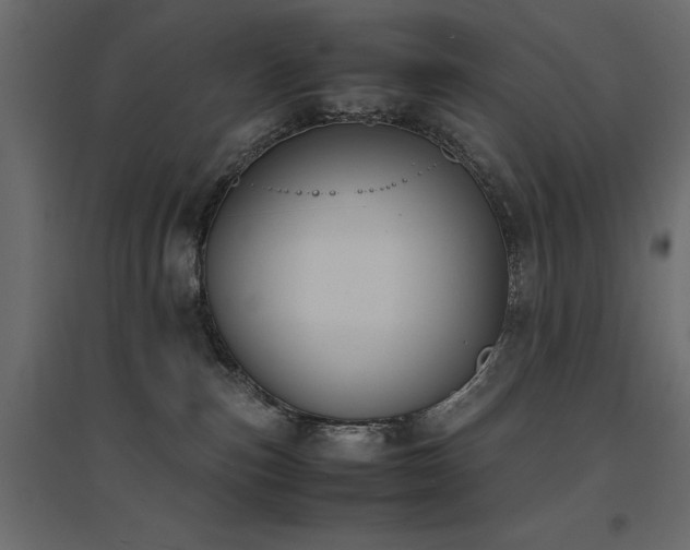X0000094910187200711291304