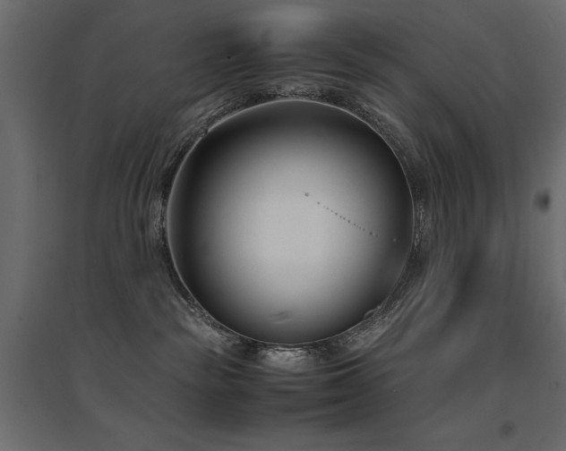 X0000094910189200711291304