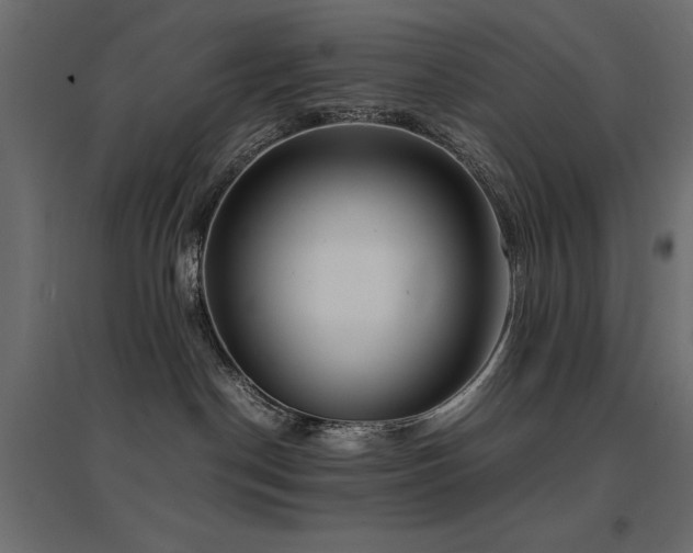 X0000094910190200711291304