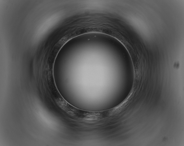 X0000094910191200711291304
