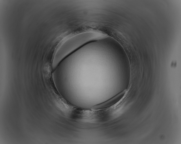 X0000094910192200711291304