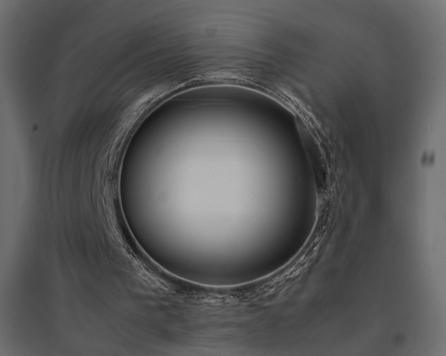 X0000094910193200711291304