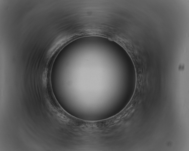 X0000094910194200711291304