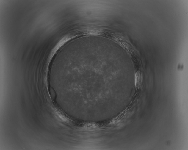 X0000094910195200711291304