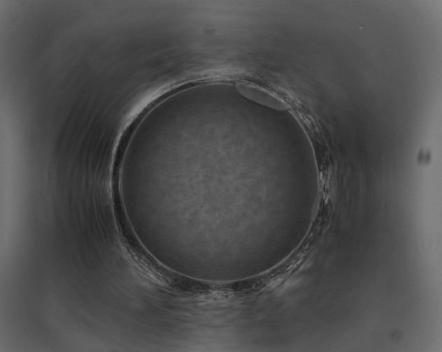 X0000094910196200711291303