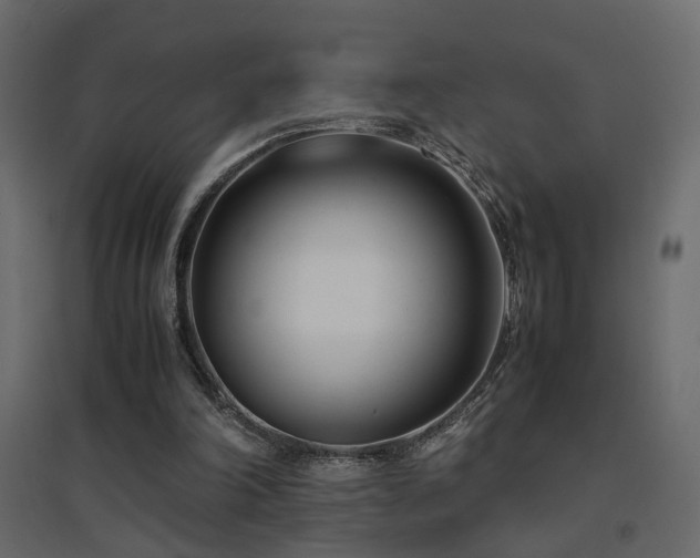 X0000094910198200711291303
