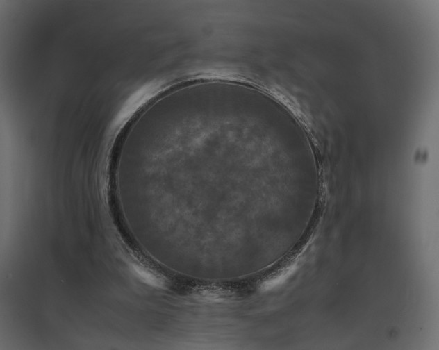 X0000094910199200711291303