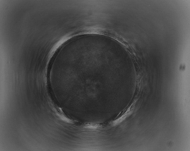 X0000094910200200711291303