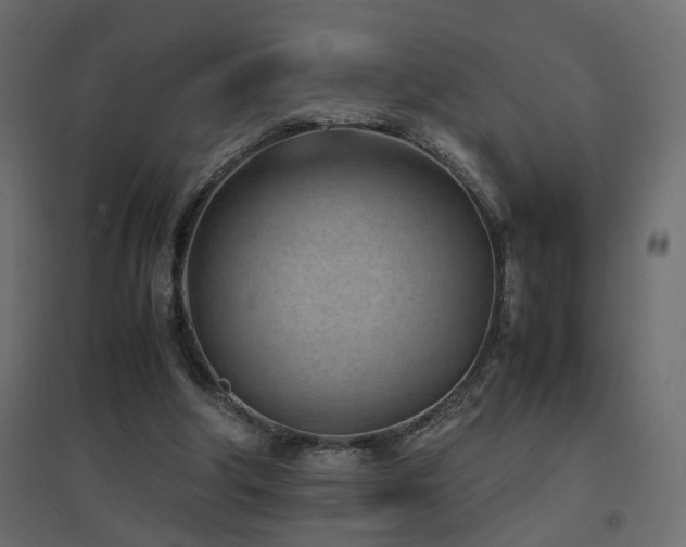 X0000094910202200711291303