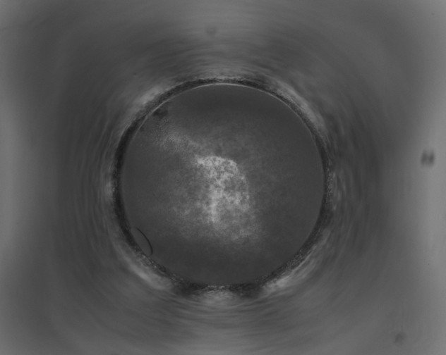 X0000094910203200711291303