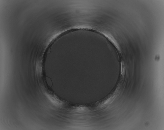X0000094910204200711291303
