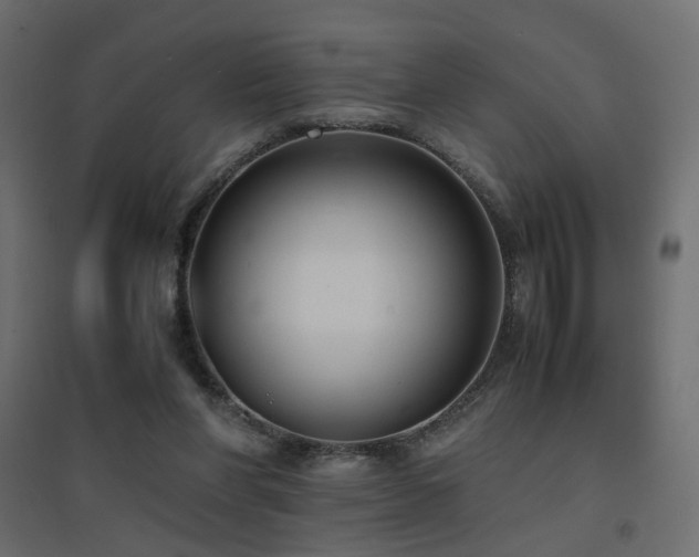 X0000094910206200711291303