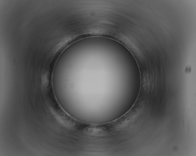 X0000094910208200711291303