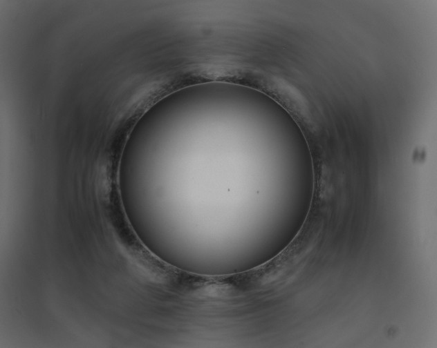 X0000094910210200711291303