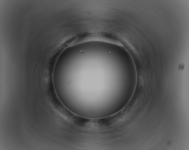 X0000094910211200711291303