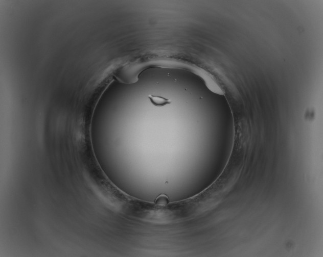 X0000094910212200711291303