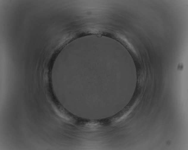 X0000094910213200711291303