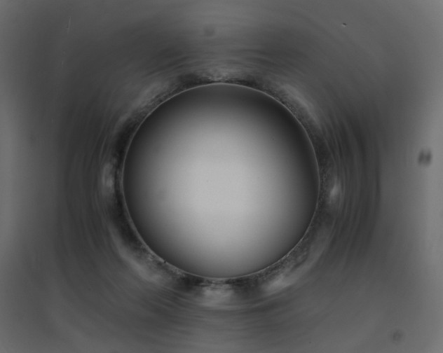 X0000094910214200711291303