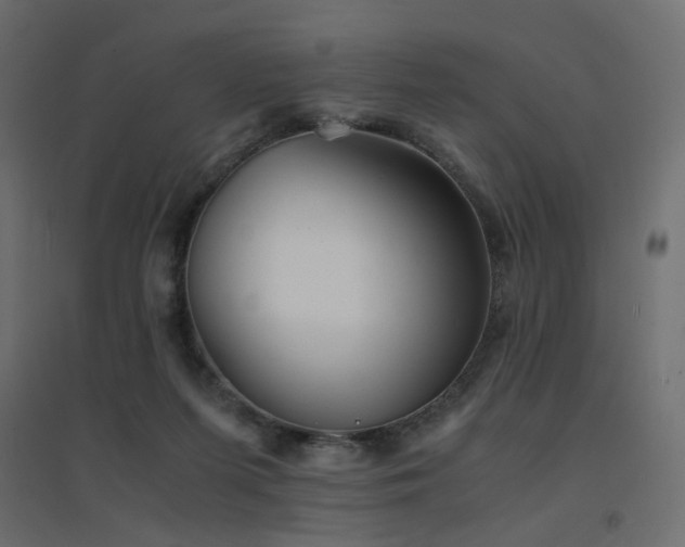 X0000094910215200711291303